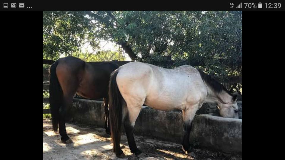 Pousada Rancho Flores Caeté エクステリア 写真