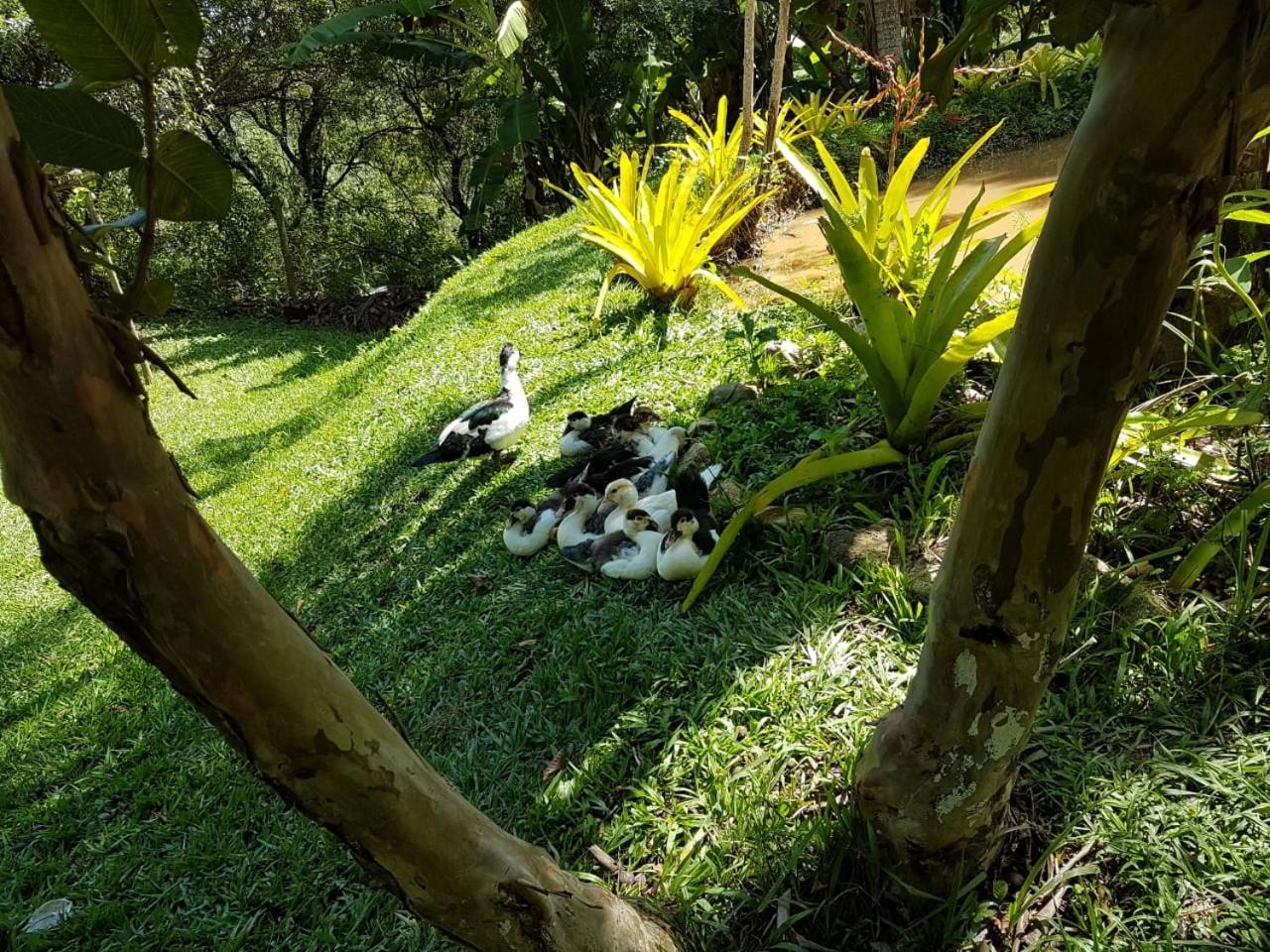 Pousada Rancho Flores Caeté エクステリア 写真