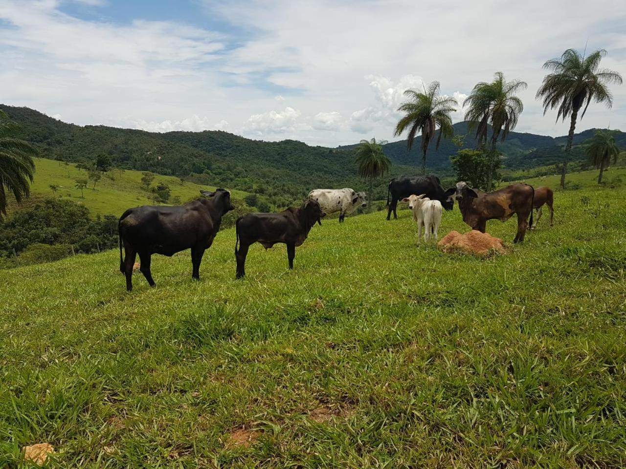 Pousada Rancho Flores Caeté エクステリア 写真